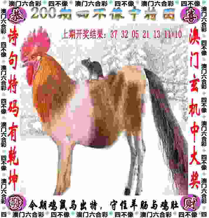 >2025年新奥天天彩大全